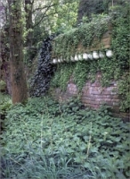 Louis G Le Roy: Natuur, Cultuur, Fusie/Nature, Culture, Fusion артикул 10279d.
